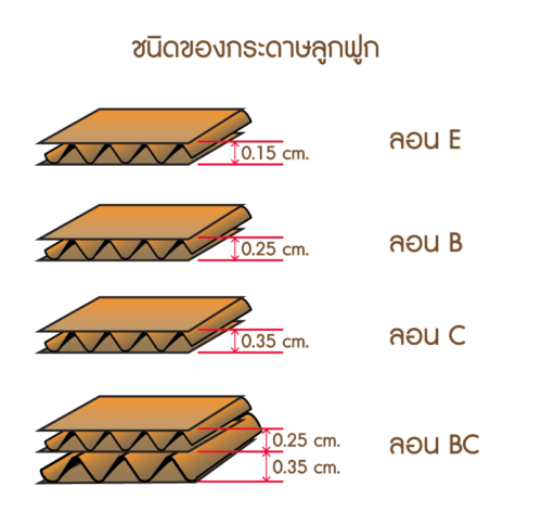 ลอนลูกฟูกแต่ละชนิด เปรียบเทียบความหนา